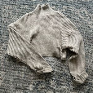 Zara Turtleneck Crop Top Sweater
